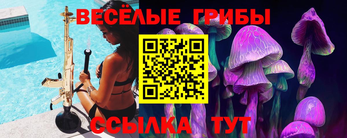 Галлюциногенные грибы MAGIC MUSHROOMS  Вход с VPN  Гурьевск  Галлюциногенные грибы Cubensis 